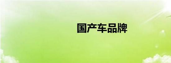 国产车品牌
