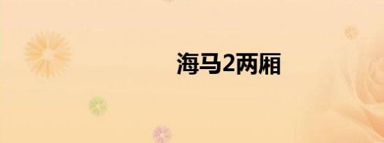 海马2两厢