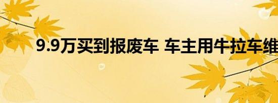 9.9万买到报废车 车主用牛拉车维权