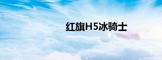 红旗H5冰骑士
