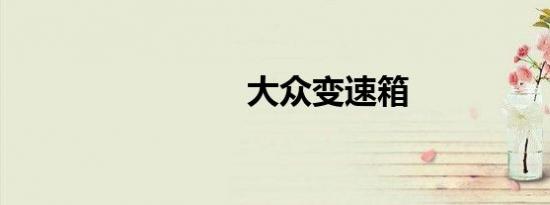 大众变速箱