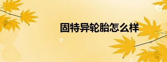 固特异轮胎怎么样