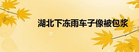 湖北下冻雨车子像被包浆