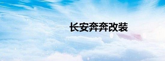 长安奔奔改装