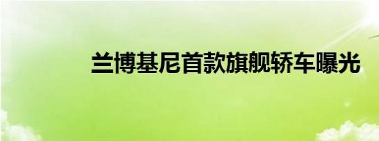 兰博基尼首款旗舰轿车曝光