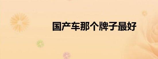 国产车那个牌子最好