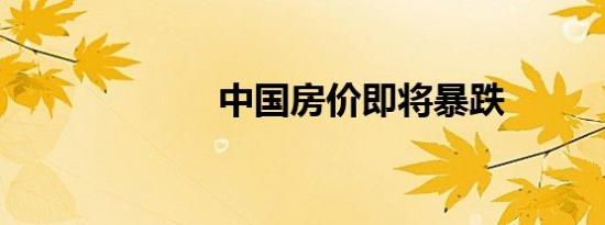 中国房价即将暴跌