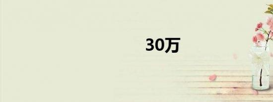 30万