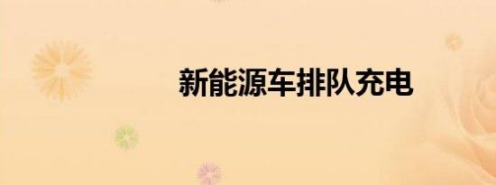 新能源车排队充电