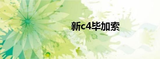 新c4毕加索
