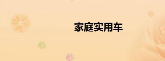 家庭实用车