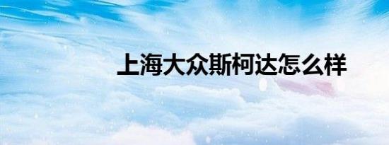 上海大众斯柯达怎么样