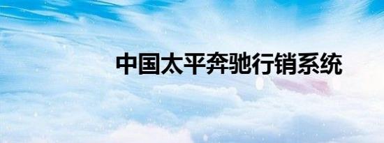 中国太平奔驰行销系统