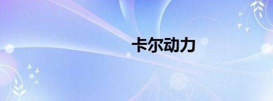卡尔动力