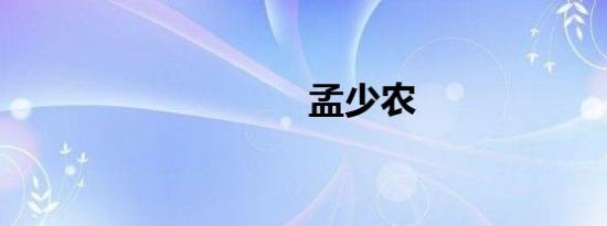 孟少农