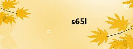 s65l
