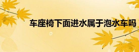 车座椅下面进水属于泡水车吗