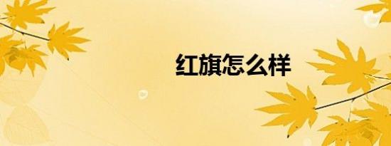 红旗怎么样