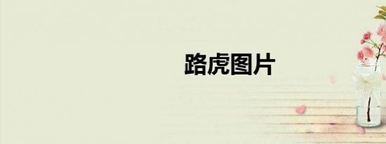 路虎图片