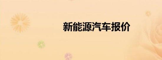新能源汽车报价