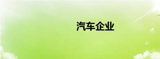 汽车企业