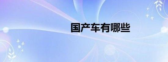 国产车有哪些