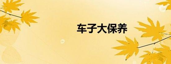 车子大保养