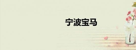 宁波宝马