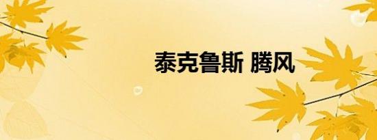 泰克鲁斯 腾风