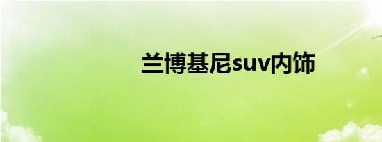 兰博基尼suv内饰