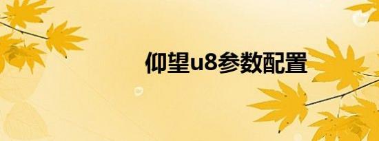 仰望u8参数配置