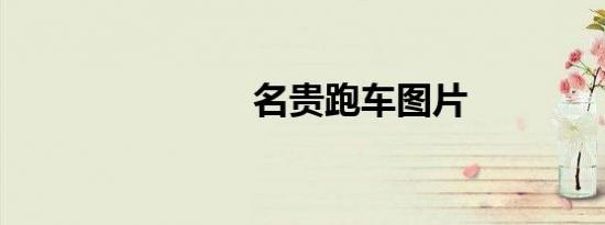 名贵跑车图片