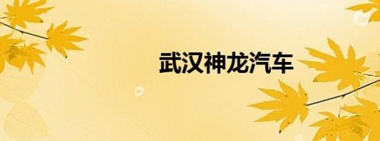 武汉神龙汽车