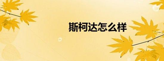 斯柯达怎么样