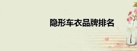 隐形车衣品牌排名