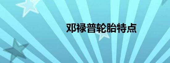 邓禄普轮胎特点
