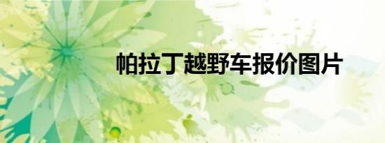 帕拉丁越野车报价图片