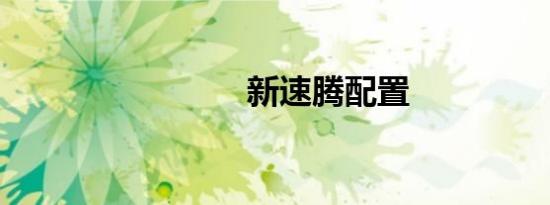 新速腾配置
