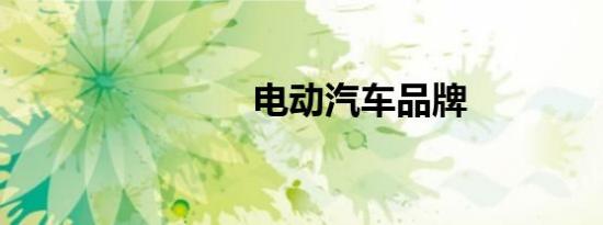 电动汽车品牌