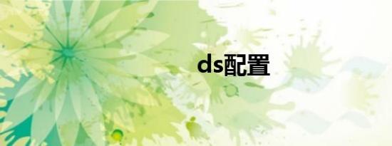 ds配置