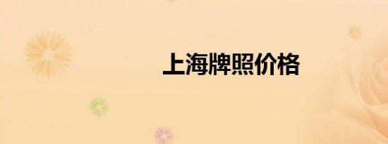 上海牌照价格