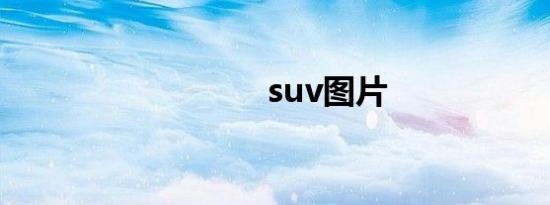 suv图片
