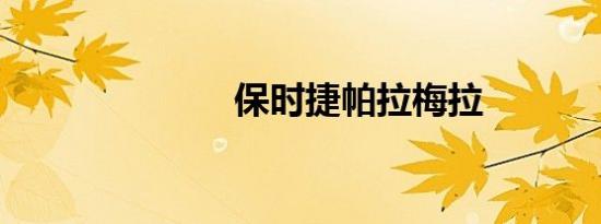 保时捷帕拉梅拉