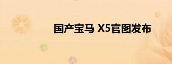 国产宝马 X5官图发布
