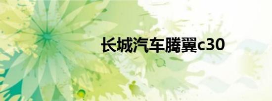 长城汽车腾翼c30