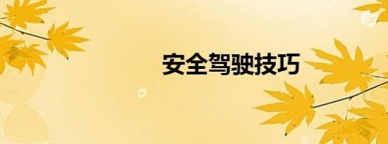 安全驾驶技巧