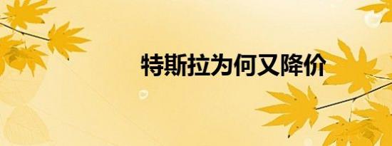 特斯拉为何又降价