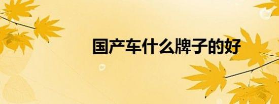 国产车什么牌子的好