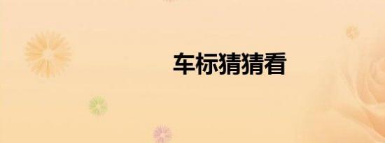 车标猜猜看