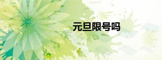 元旦限号吗